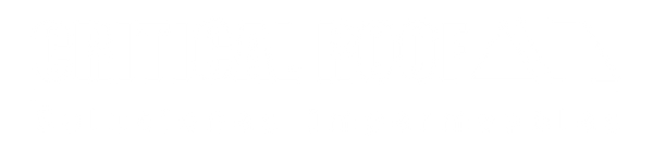 CRITICAL ROOF 